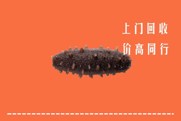 无为市回收海参