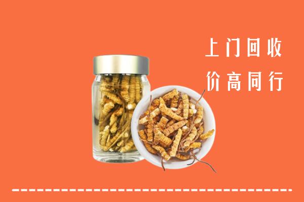 无为市回收冬虫夏草