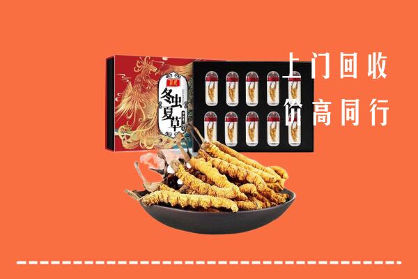 无为市回收虫草